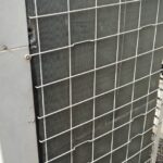 IMG-20250118-WA0008